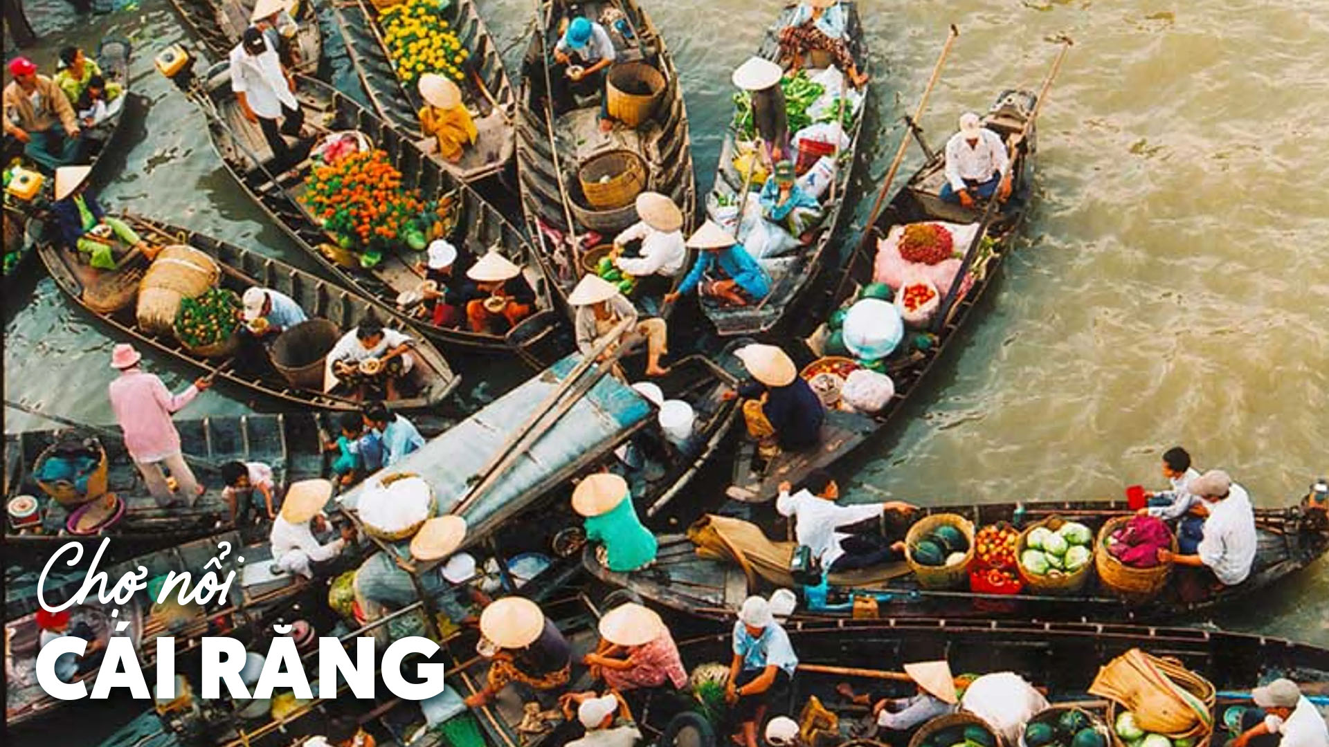 NINH KIỀU - CHỢ NỔI - MIỆT VƯỜN